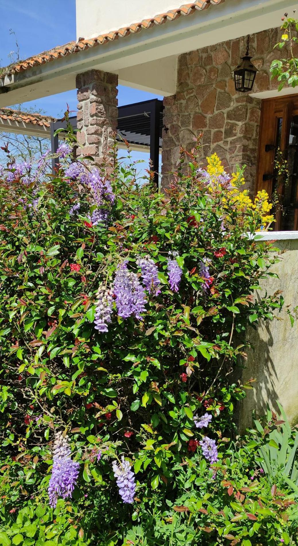 13 Bees Bed & Breakfast กงโฟลองส์ ภายนอก รูปภาพ