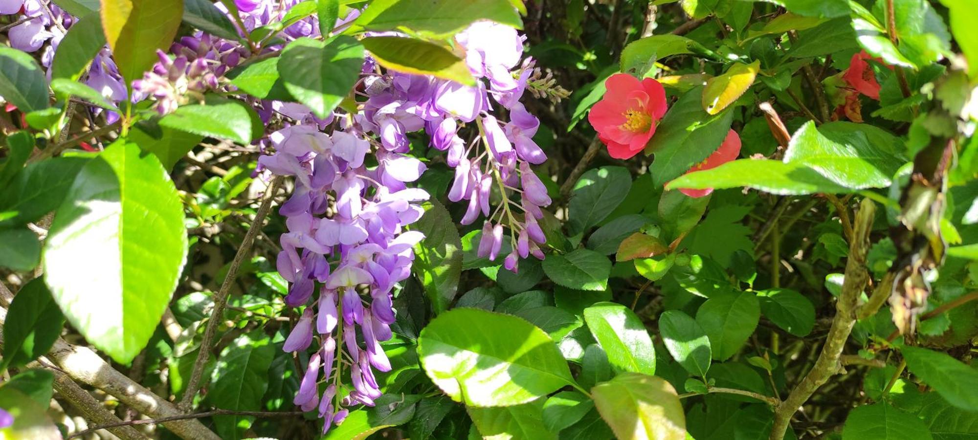 13 Bees Bed & Breakfast กงโฟลองส์ ภายนอก รูปภาพ