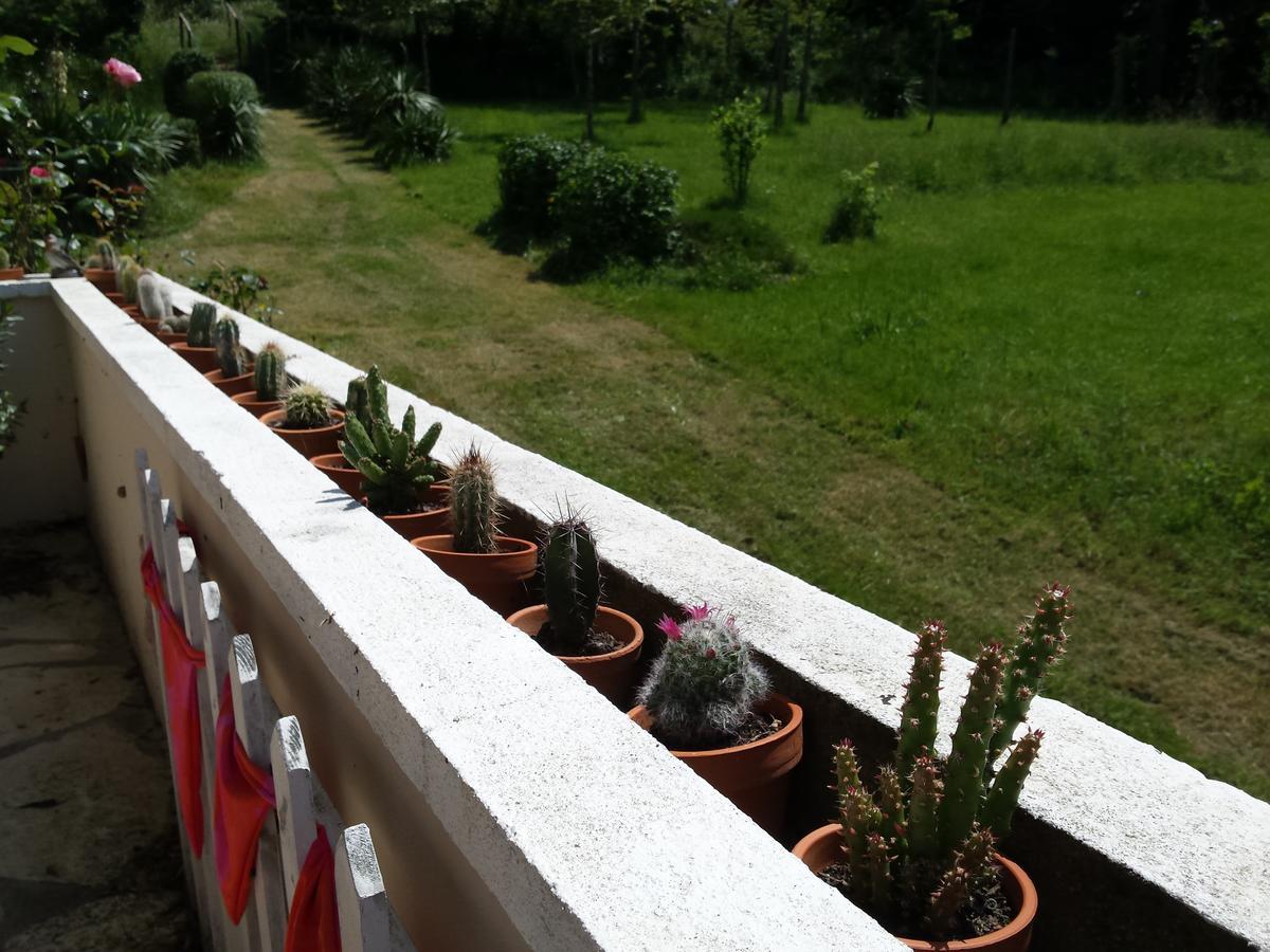 13 Bees Bed & Breakfast กงโฟลองส์ ภายนอก รูปภาพ
